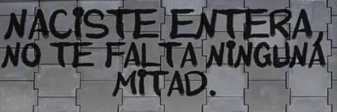 LauraFarinha's profile banner image