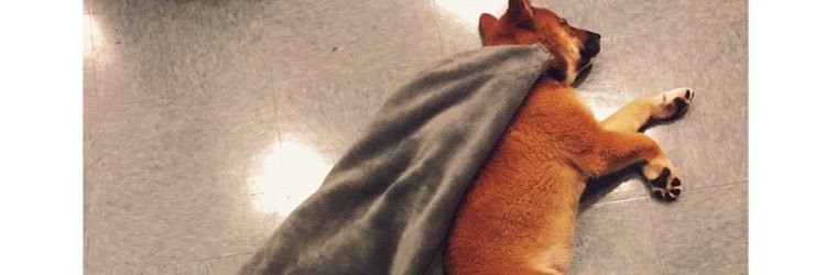 Queefhoang's profile banner image