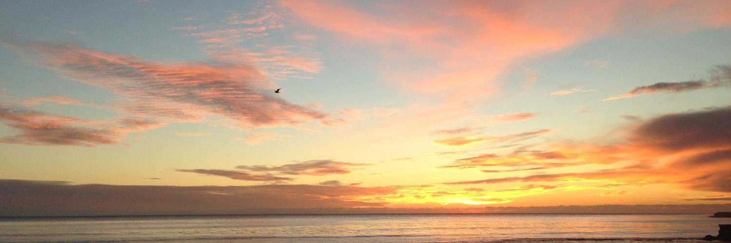 devon_y5's profile banner image