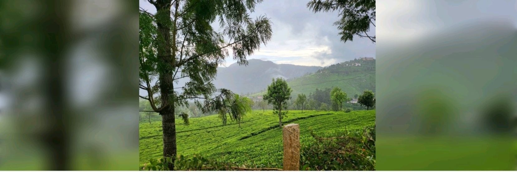 Arvind Mishra 🇮🇳 banner