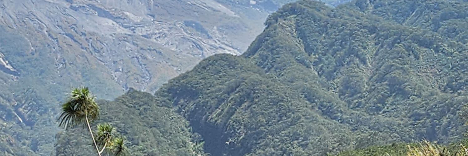 obie_ardy's profile banner image
