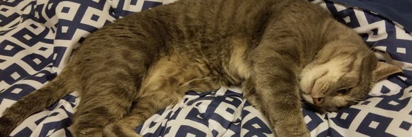LttleMouse93 Profile Banner