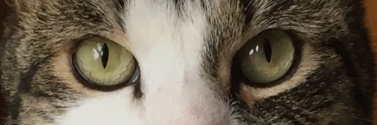 bmtissi's profile banner image