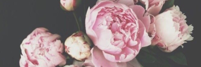 gray_mikayla's profile banner image