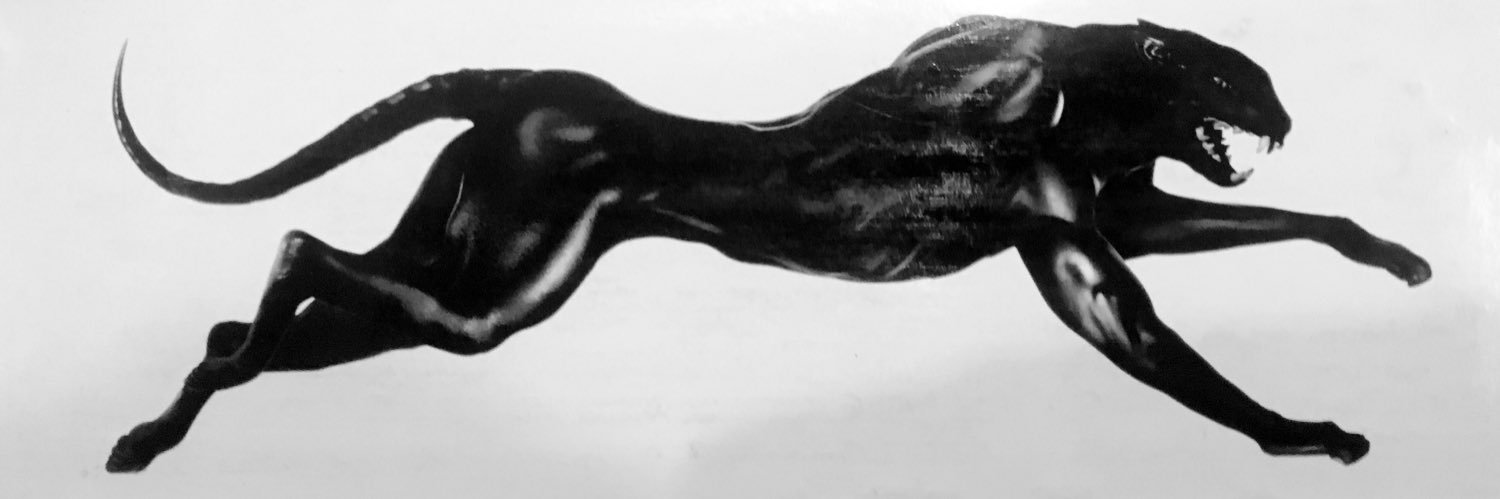 devonlintonjr's profile banner image