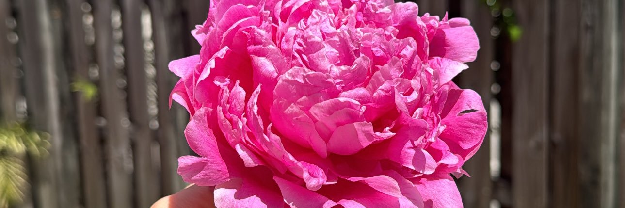 ItsthatNatali's profile banner image