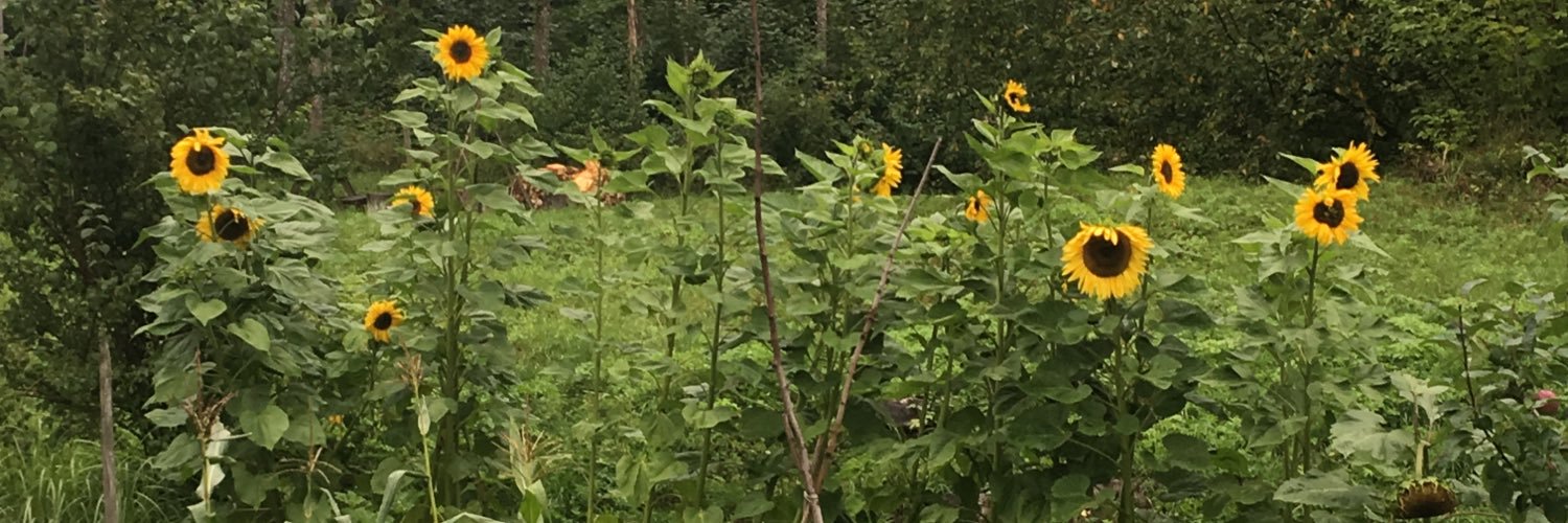 victorsvensson's profile banner image