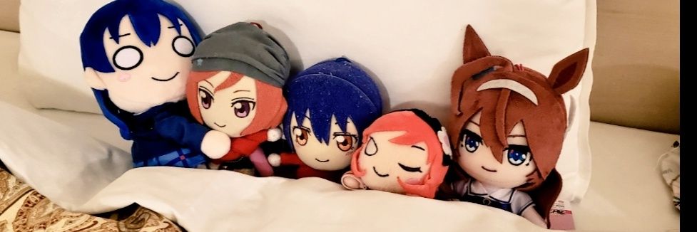 seiru_n's profile banner image