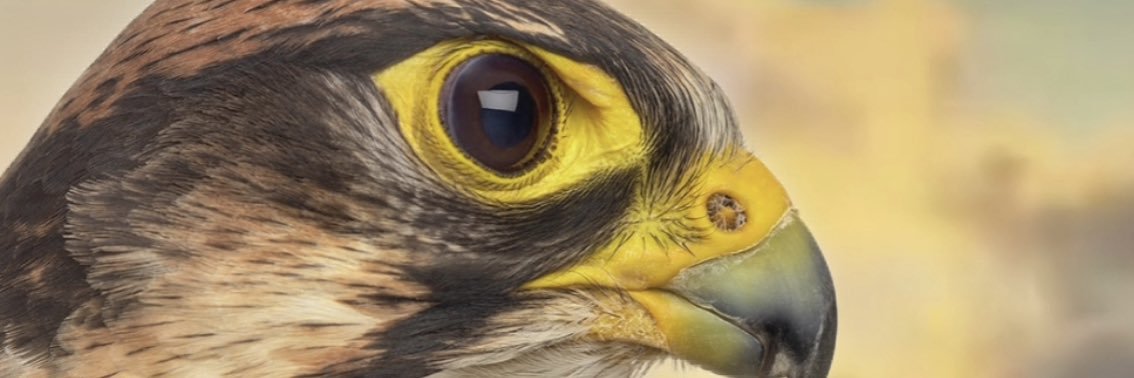 KaramMub's profile banner image