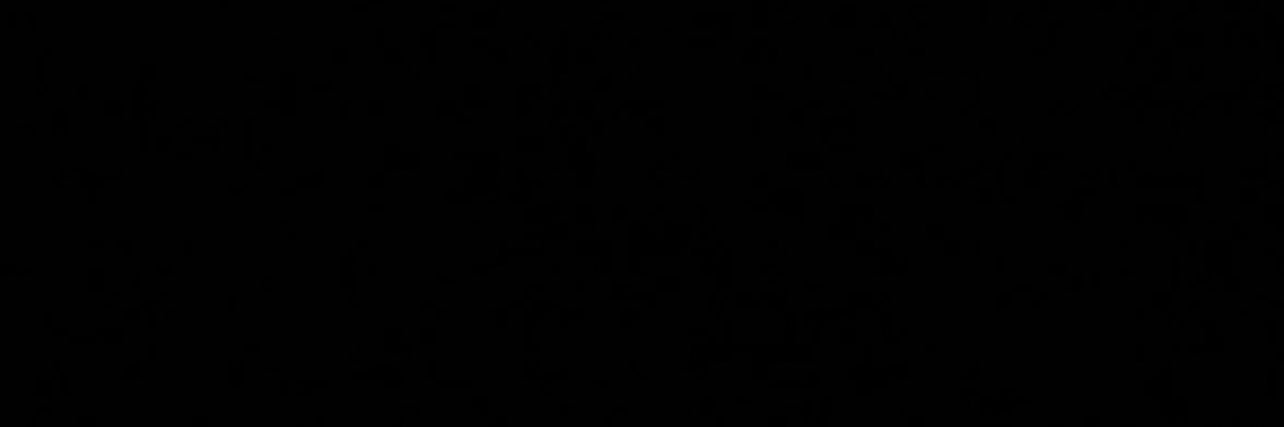 Willlsss 🦅 banner