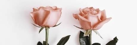 AziziRY's profile banner image