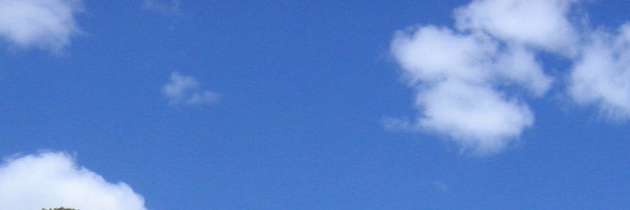 BNarcfree's profile banner image