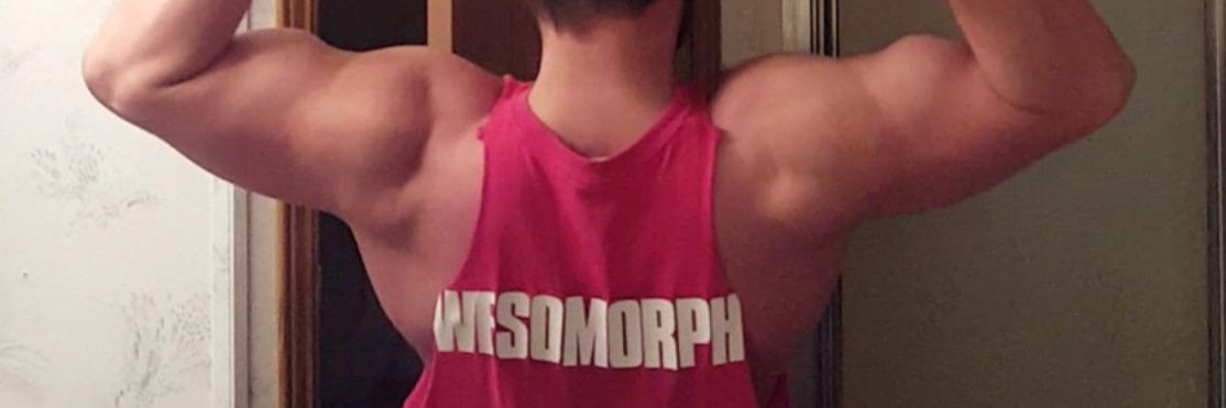 TheWesomorph's profile banner image