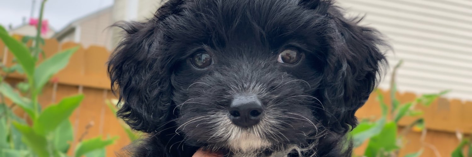 Emilypt_'s profile banner image