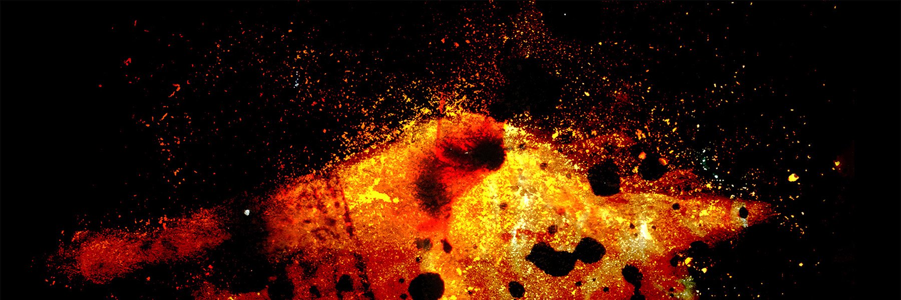 Emily_Scaife's profile banner image