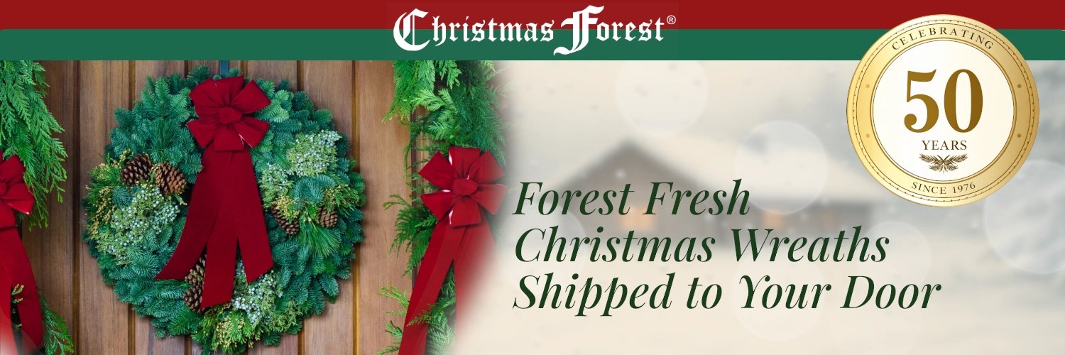 ChristmasForest's profile banner image
