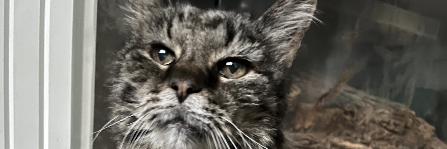 jbnahs's profile banner image