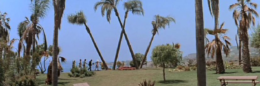 Beyond the Avi banner