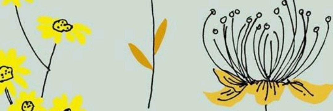 FabiolaFabian's profile banner image