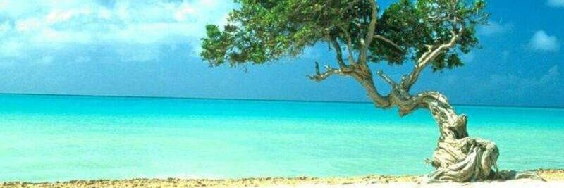 al_asseil's profile banner image