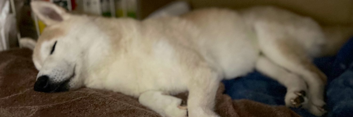 すばるママ banner