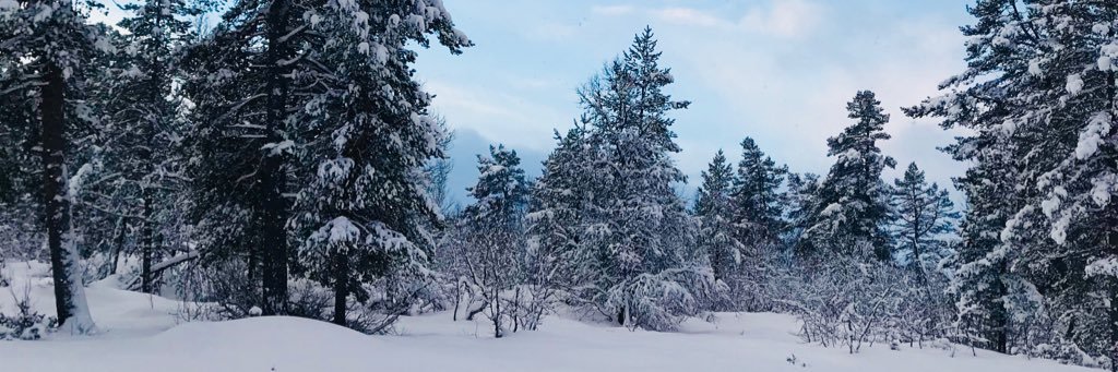 lervag's profile banner image