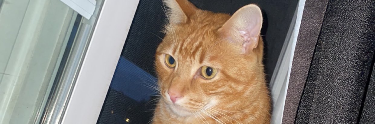 TheRealBasedGodLegends banner