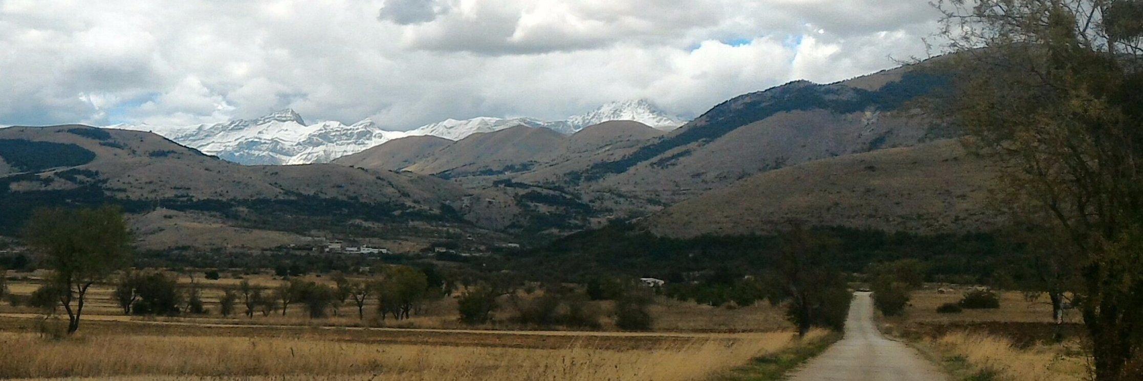 federicocifani's profile banner image