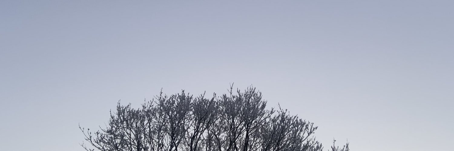 bb___87's profile banner image