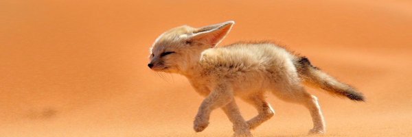 glengyron Profile Banner