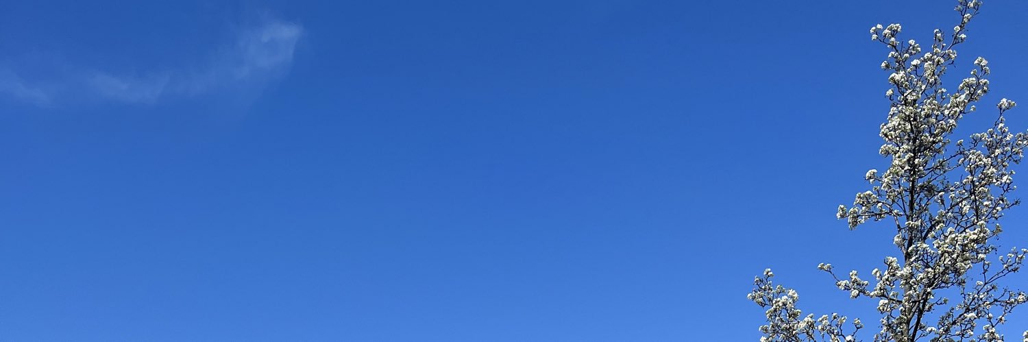 queenmimikel's profile banner image