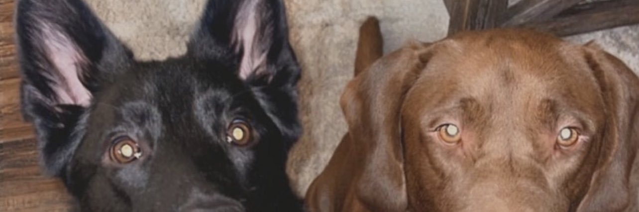 morganfarris21's profile banner image