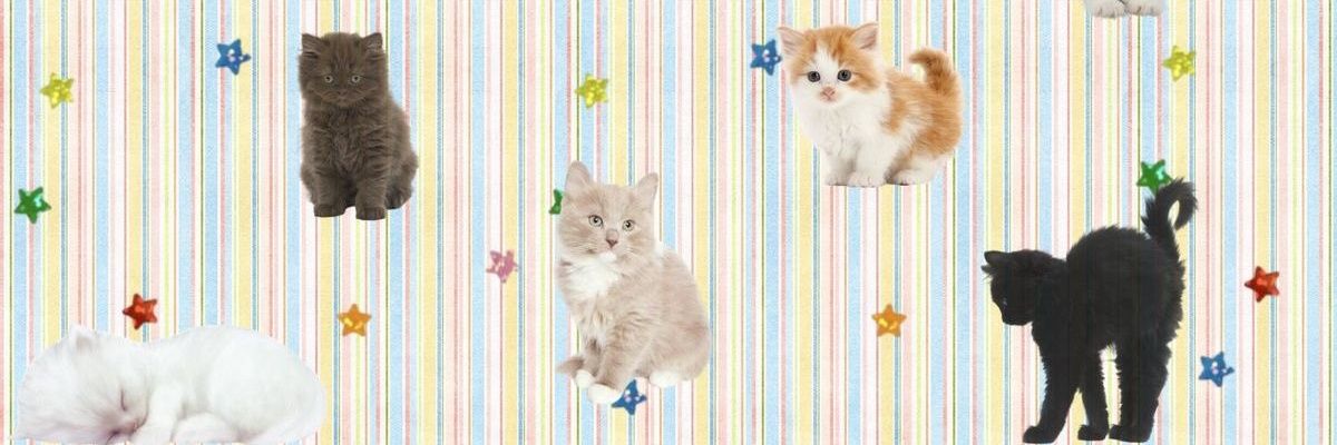 andiriott's profile banner image