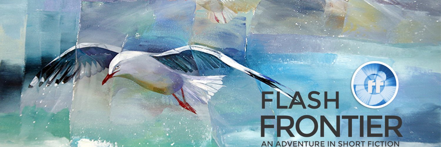 FlashFrontier's profile banner image