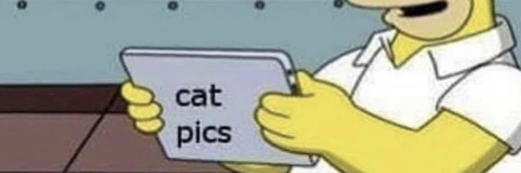 slycat__'s profile banner image