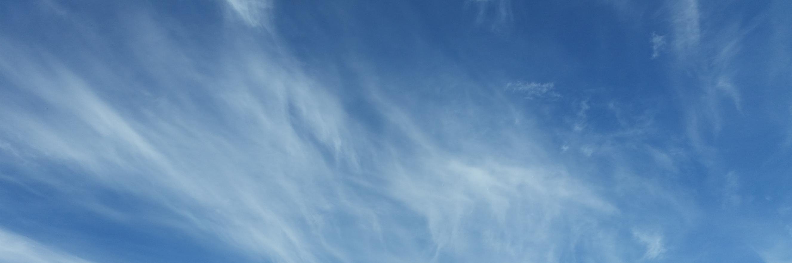 oleg_plesser's profile banner image