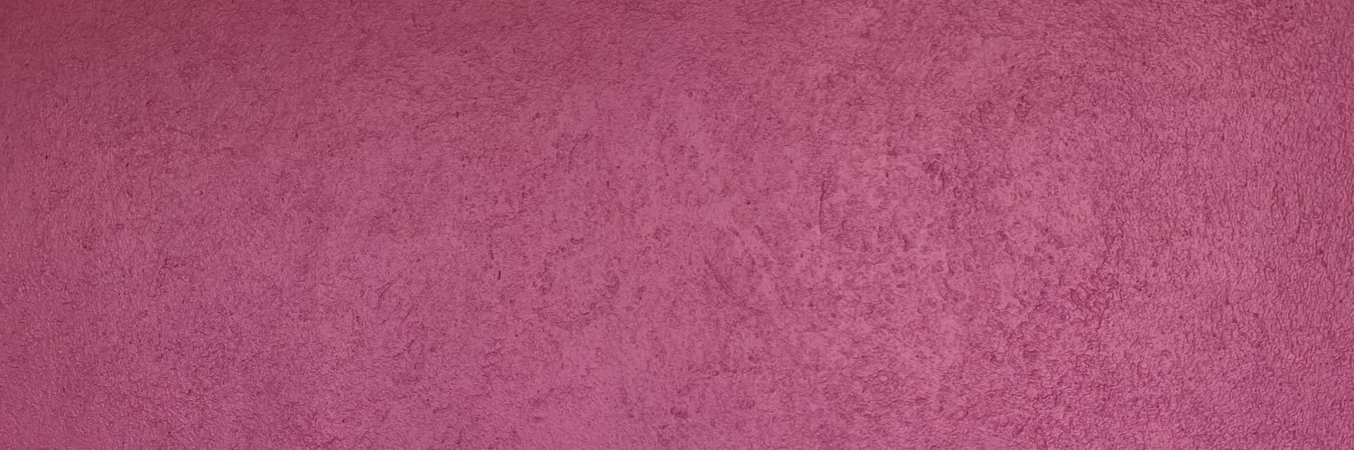isabellapvv's profile banner image