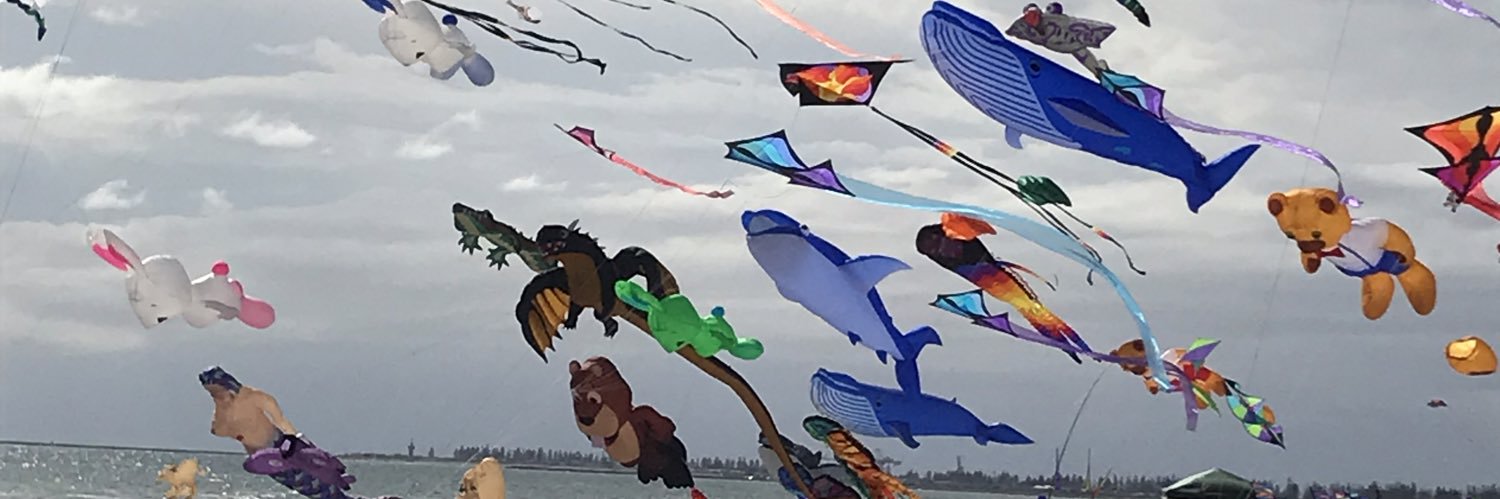 Kate Quane (PhD) banner