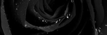 Vi0911's profile banner image
