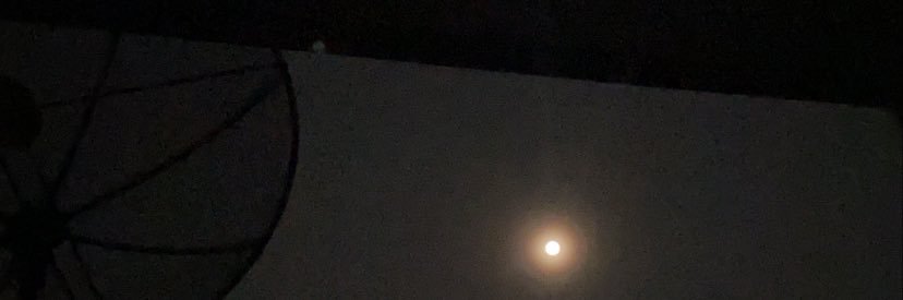 pliwxx's profile banner image