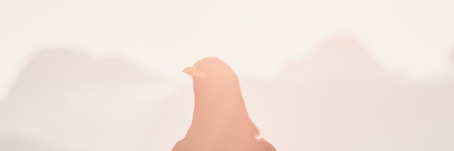 sagrkhalled's profile banner image