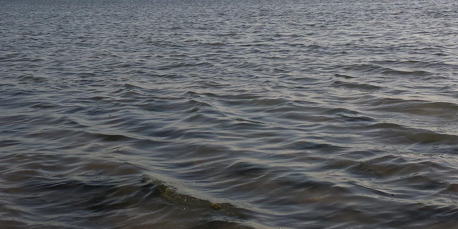 seacares's profile banner image