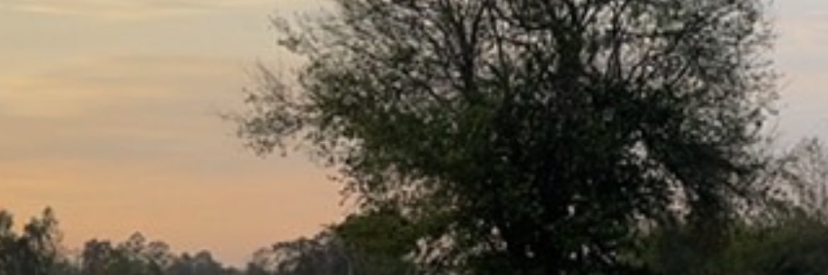 sb03mt's profile banner image