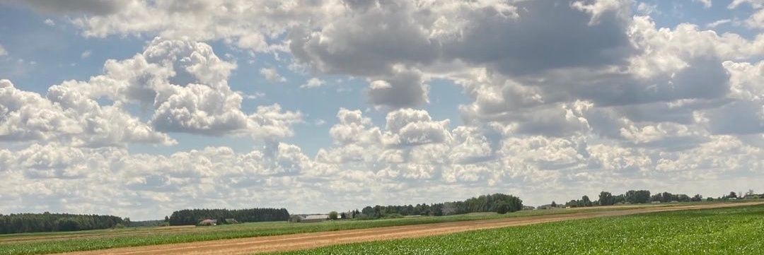 lindskellss's profile banner image