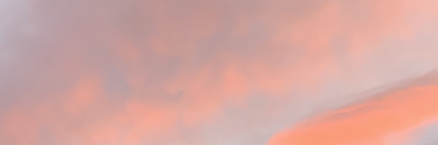 Cherolaina ⁷ 🦊 banner