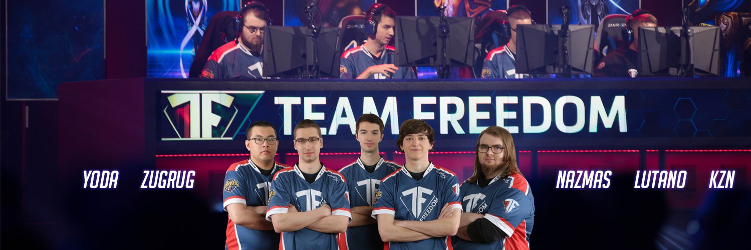 Team Freedom banner