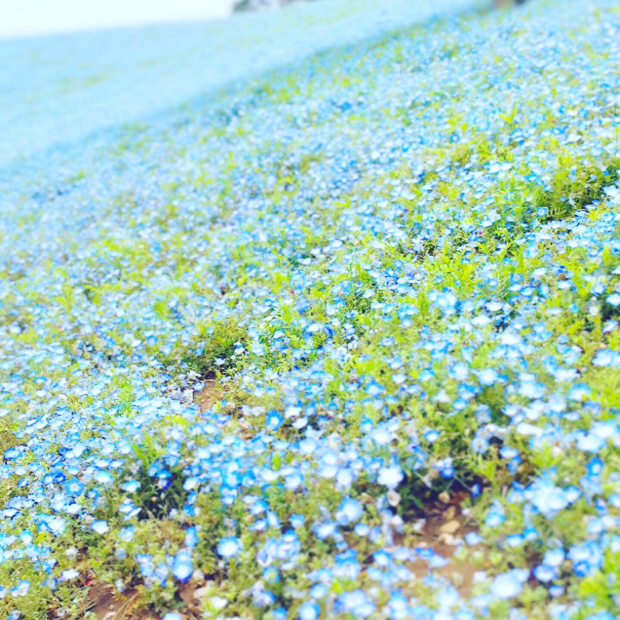 JSbsw's profile banner image
