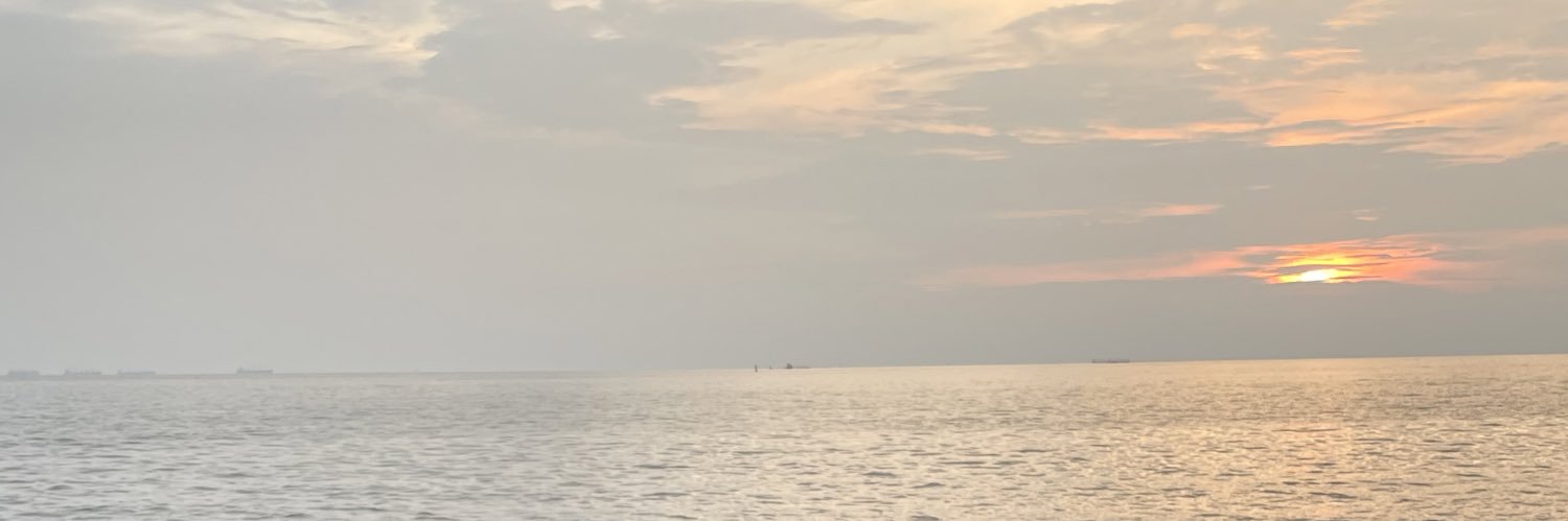forthsarinya's profile banner image