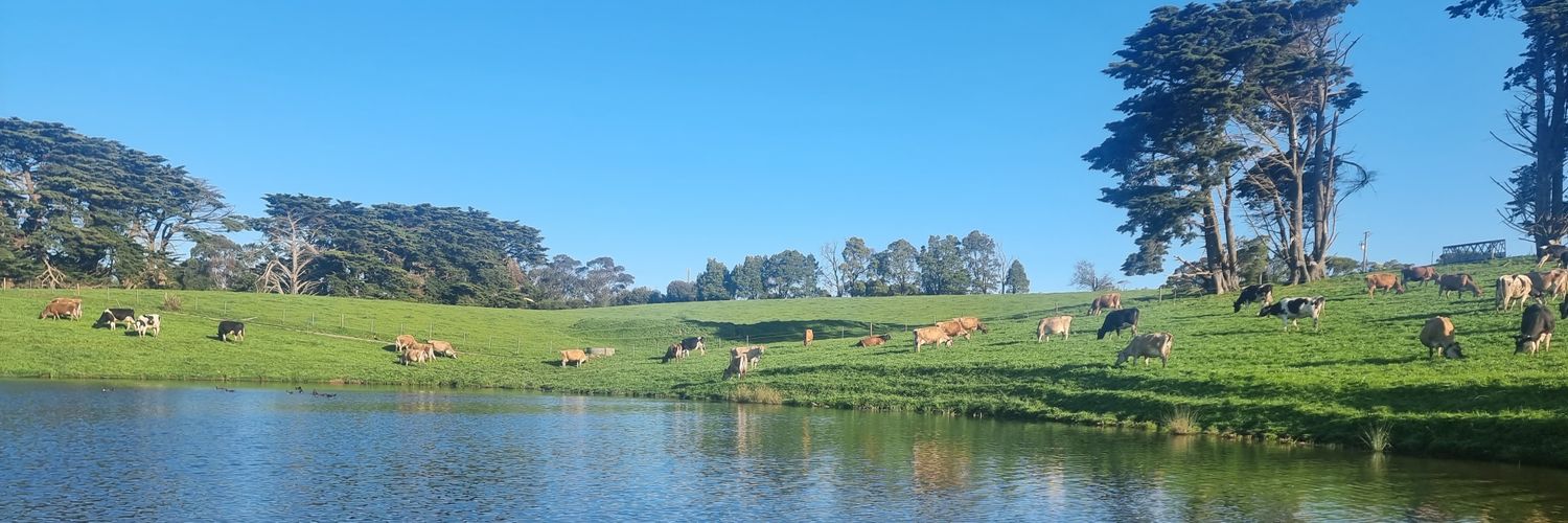 Derryvale Dairy banner
