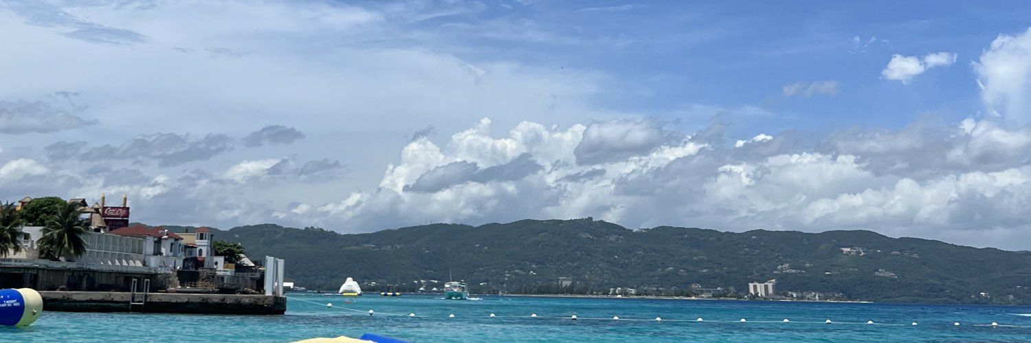 ree_sinatra's profile banner image
